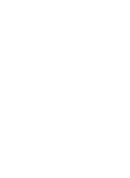 Decorative Globe Shape